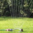 Rasen bewässern: Wann und wie lange es am besten ist