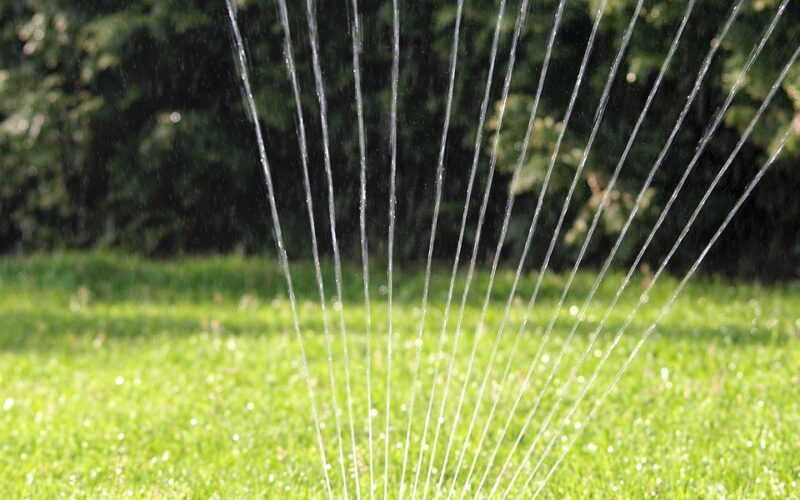Rasen bewässern: Wann und wie lange es am besten ist